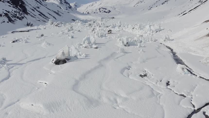 Snow is covering the arctic area
