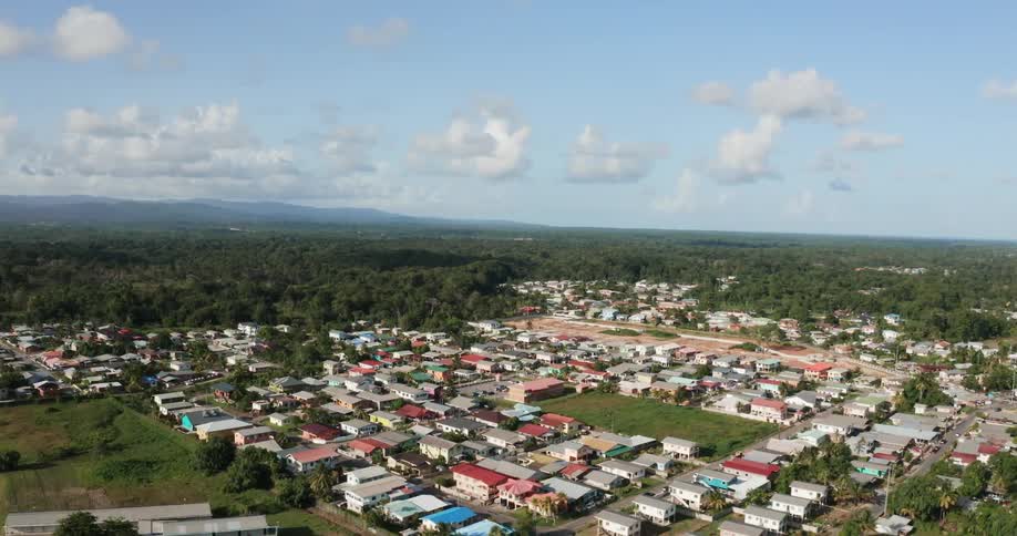 An aerial view of a neighborhood is displayed