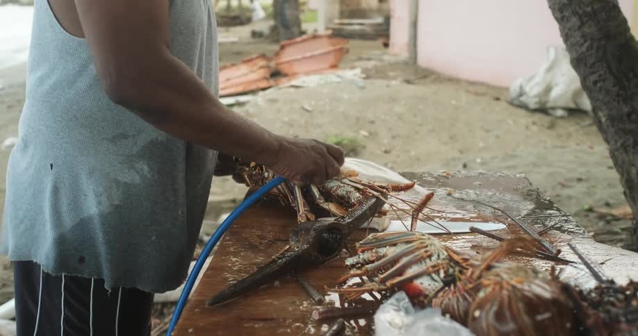 A person using a hose to clean a lobster