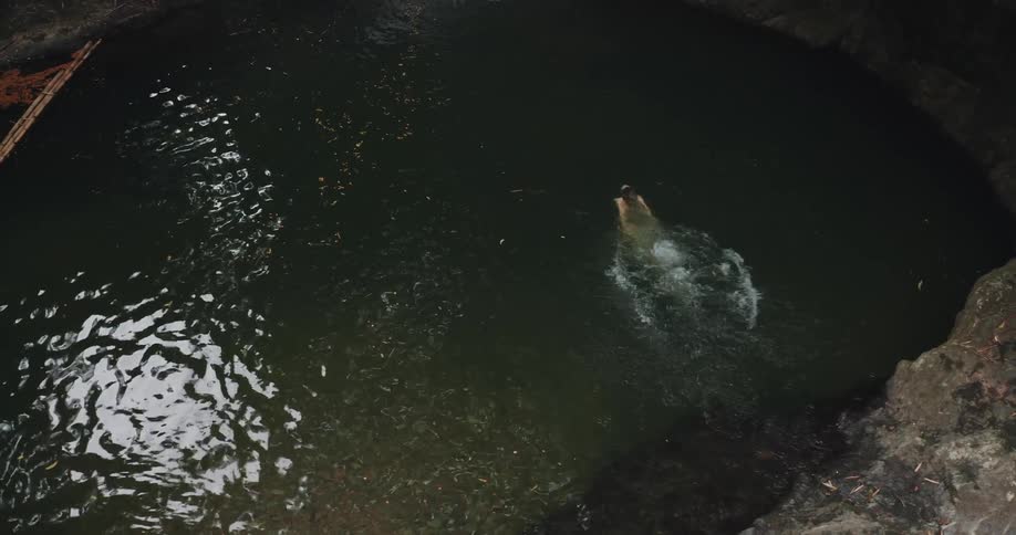 Aerial of woman jumping into island river