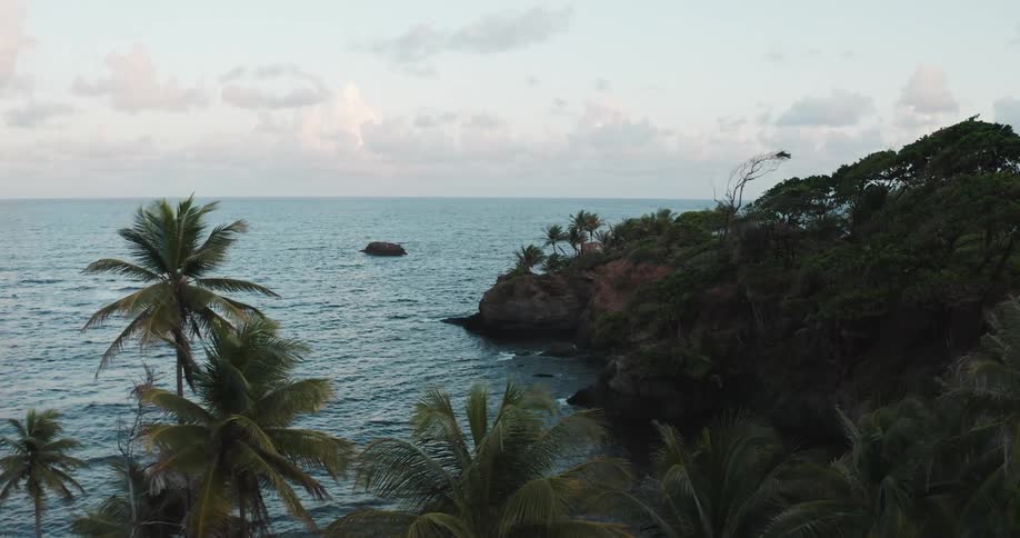 Aerial view of palm trees in a tropical coast at sunset