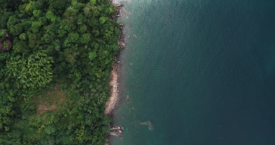 Aerial view of tropical coastline