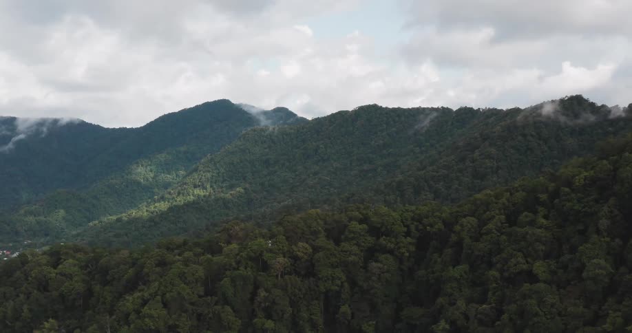 Tree covered mountain range