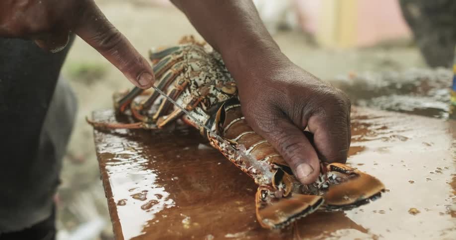 Man preparing lobster with a knife