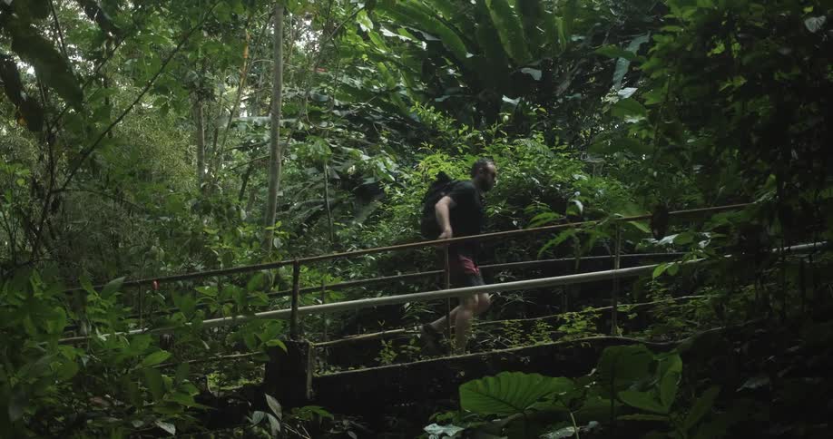 A white male walks across a bridge in a tropical forest