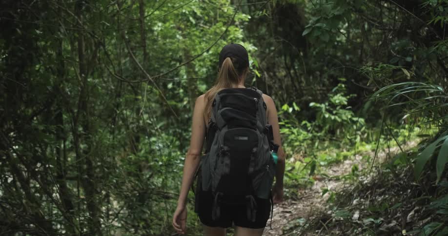 Woman hiker walks along a path through a rainforest