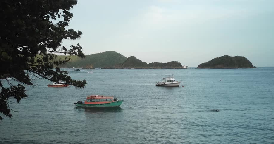 A person swims in the water near several boats floating nearby