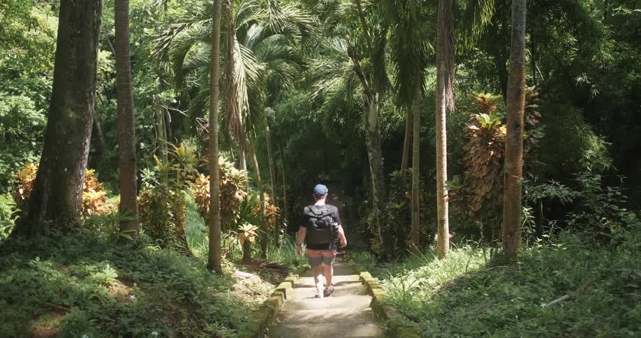 Man exploring tropical island