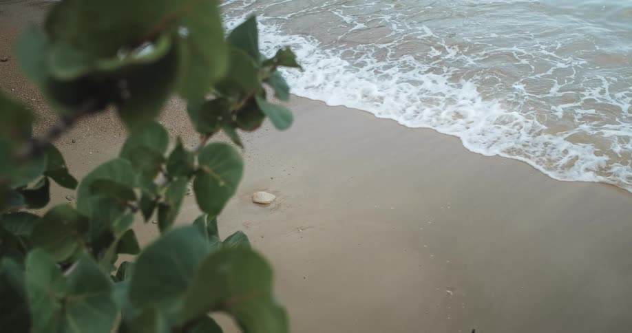 Small waves on beach in daytime