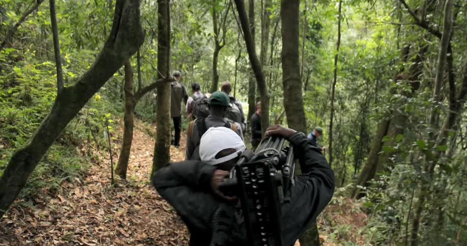 People are hiking a trail downhill on a sunny day
