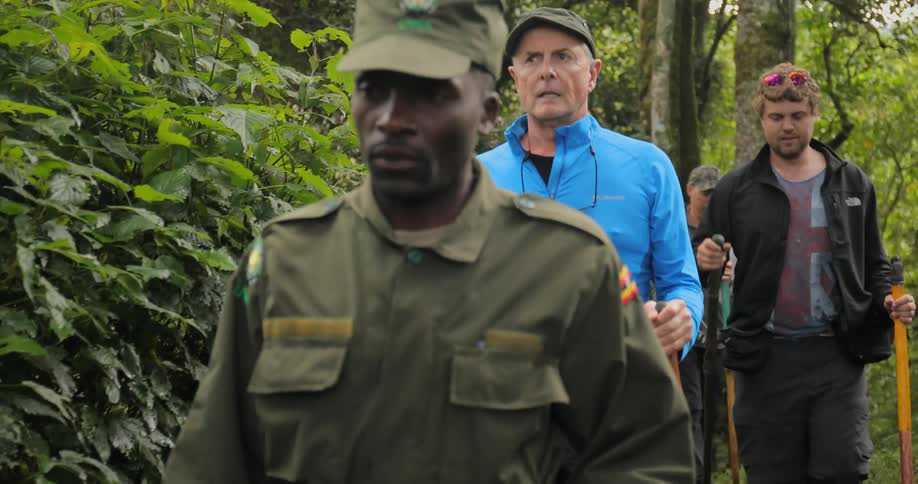 Men hiking through a forest