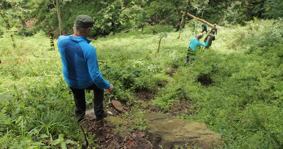Hikers descend a hill in the wilderness