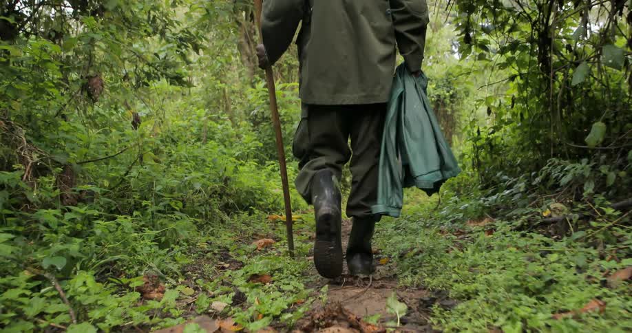 A man in boots and a jacket walks down a green trail