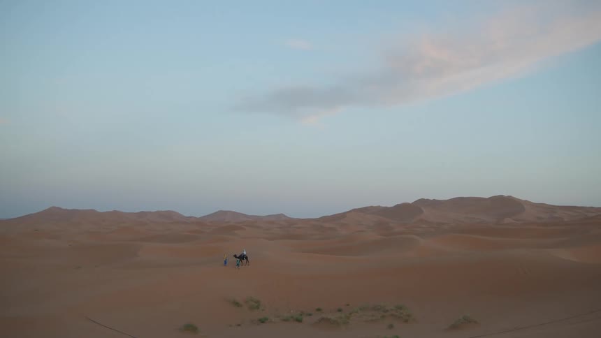 People walking camel through expansive desert landscape