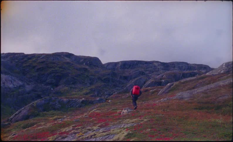 Man walks through mountain meadow with wildflowers and rocky ridge in background