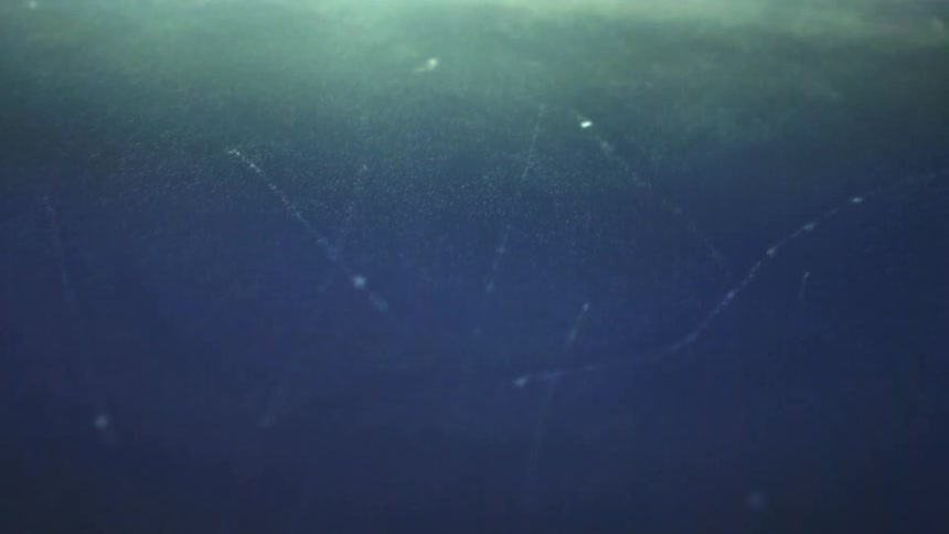 Shimmering threads on the water surface