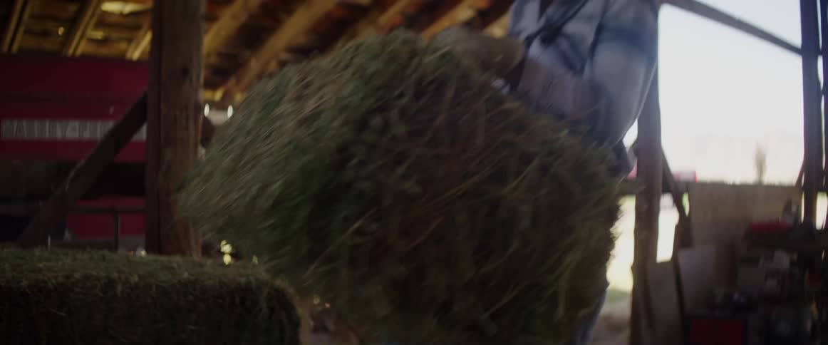 A person picks up a hay bale inside a barn and moves it to another pile