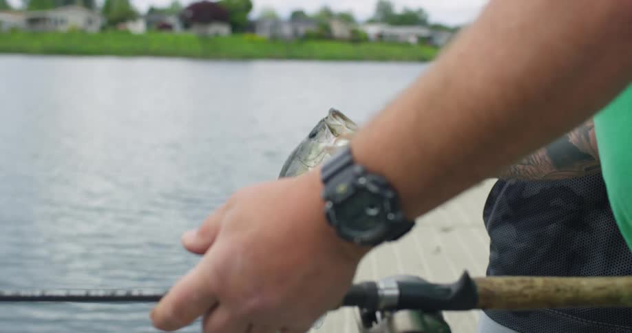 Two people looking at fish caught in lake