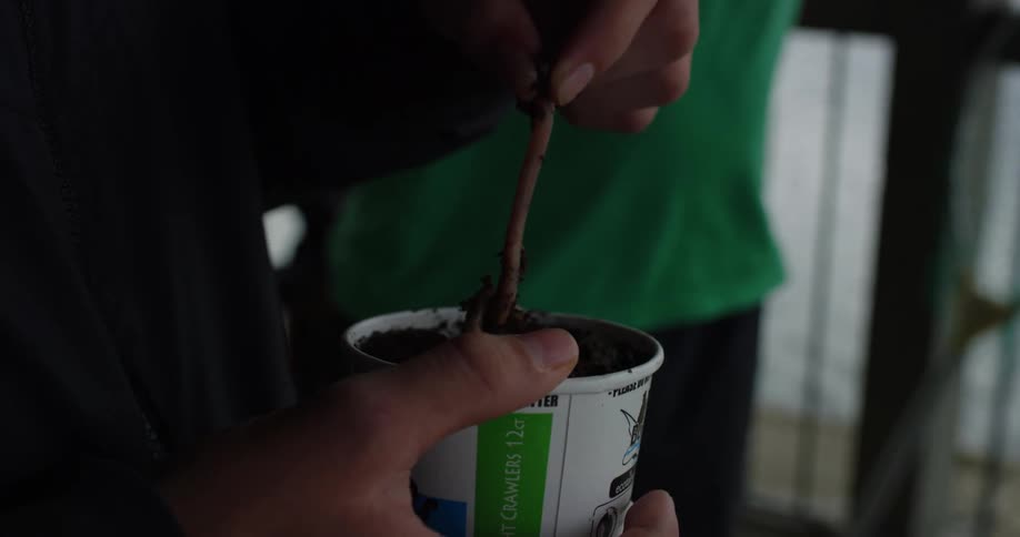 A man pulls a worm out of a container