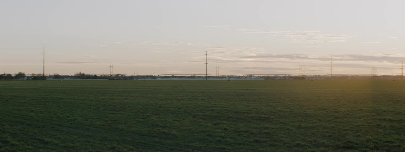 A wide field with low grass on the outside of a city in the evening
