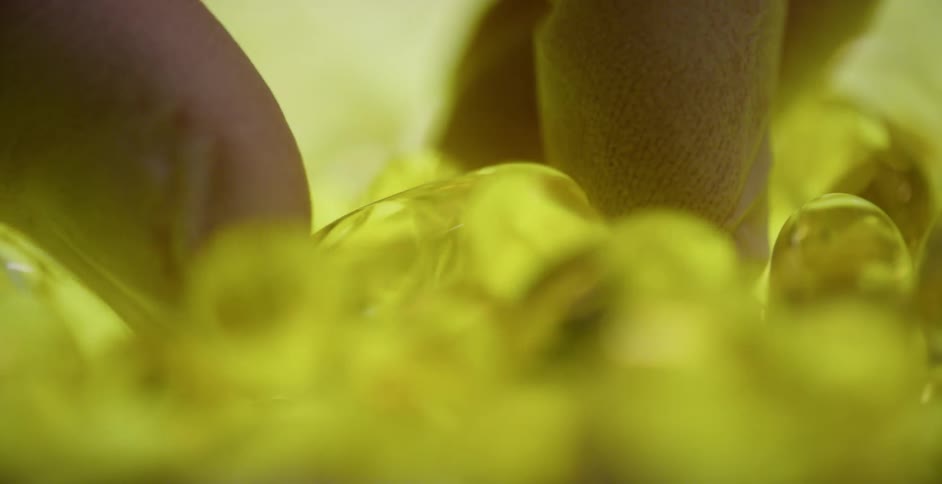 A white person wearing gloves picks up a yellow pill