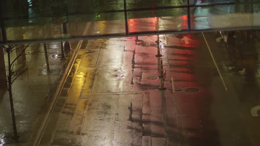 A rain soaked city street in a metropolis at night