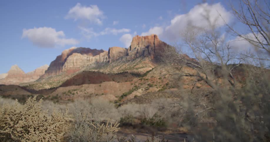 A large cliff with bushes around it