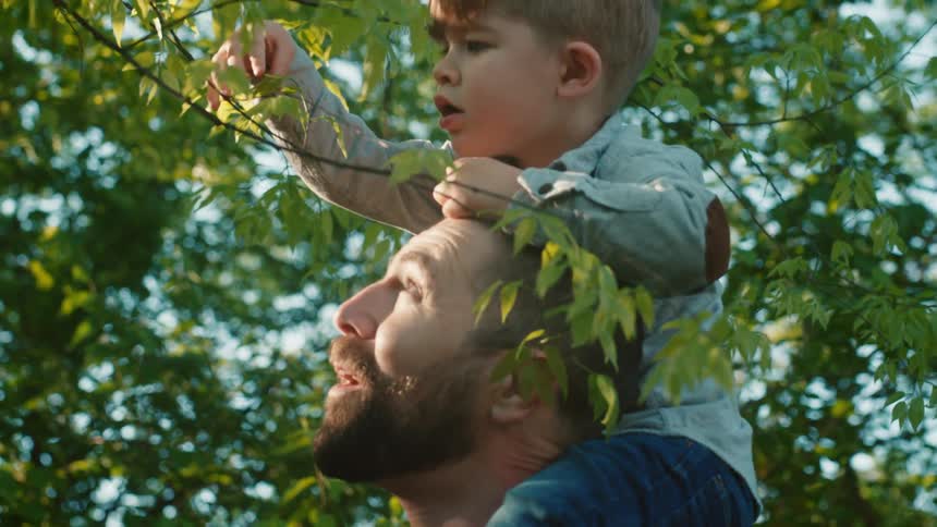 A boy sits on his fathers shoulders grabbing at branches