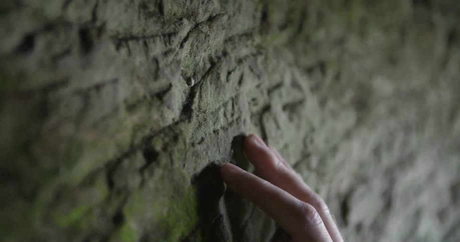 A spider crawls up a wall to escape from a hand trying to grab it