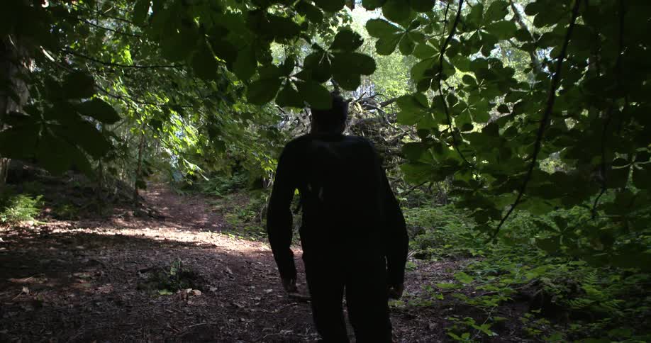 Man walks in the forest
