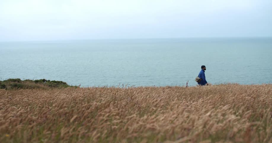 A man walks through a swaying field of wheat grass near the ocean