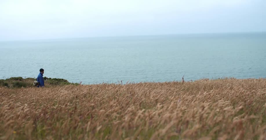 A man walks over the field on a windy day