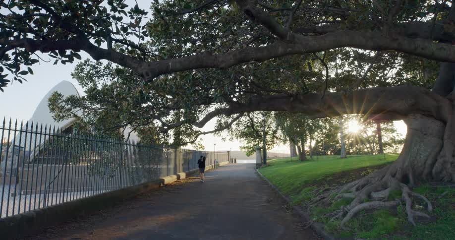 A person walking down a path