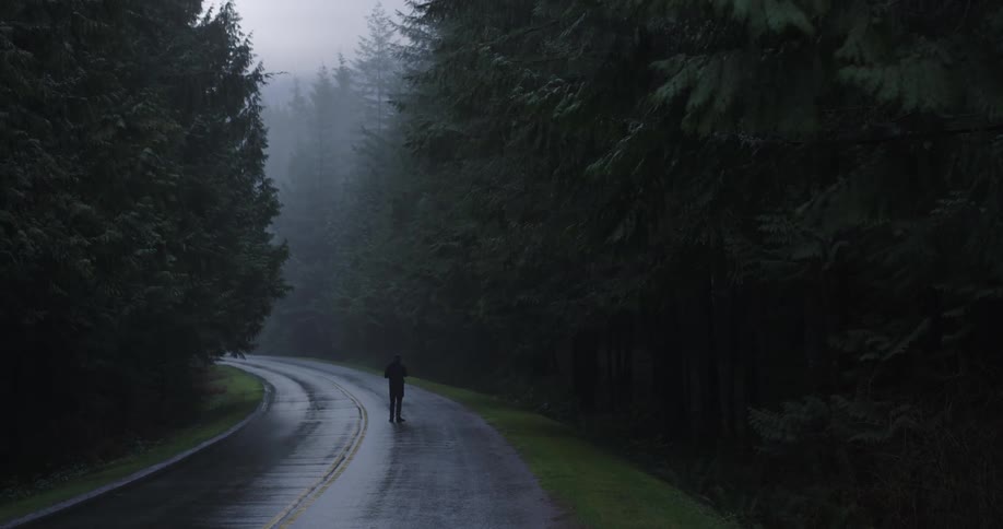 A person stands in the middle of a road running through a foggy forest