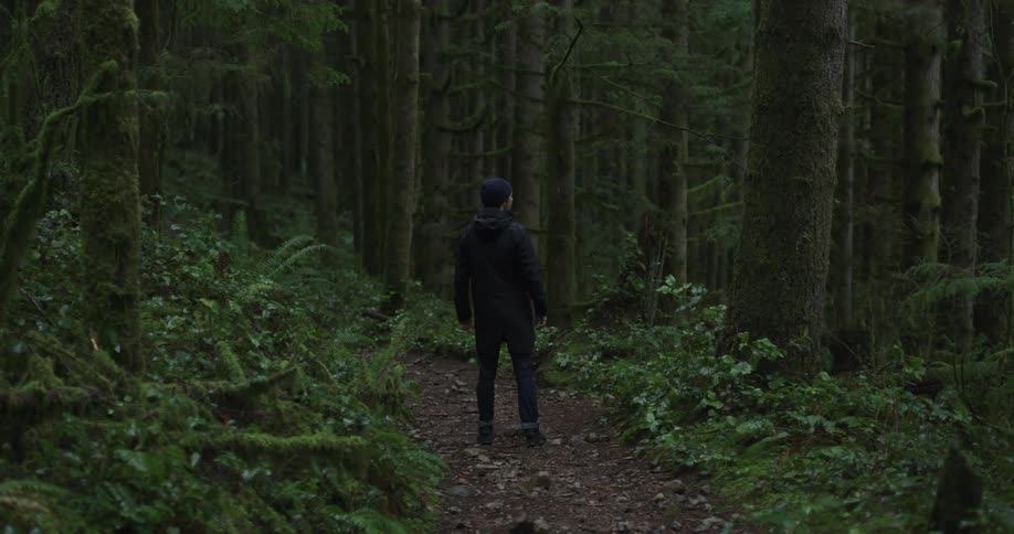 A man stands on a heavily wooded path in the forest