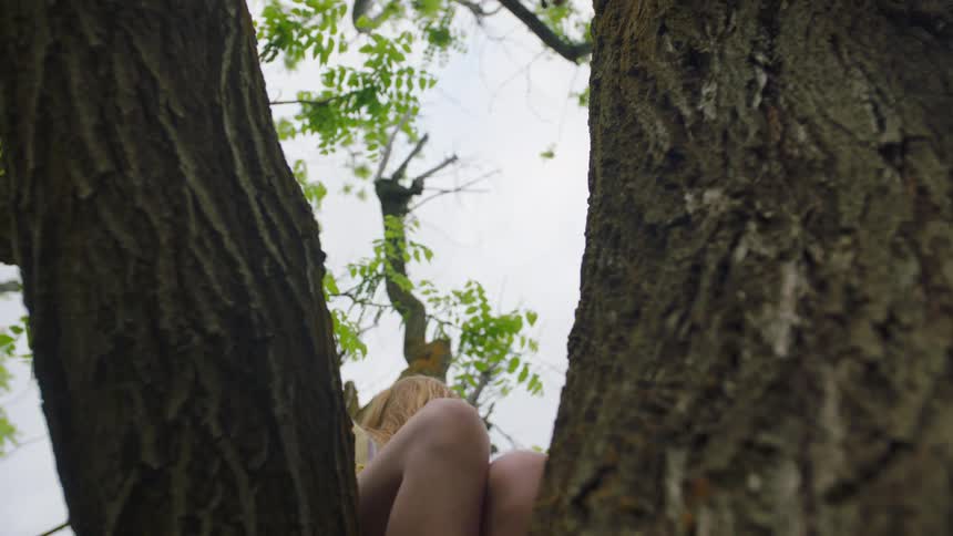 A young girl sits in a tree