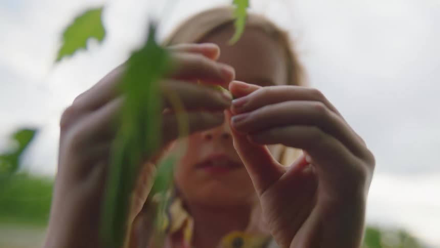 A young girl picks something off a tree