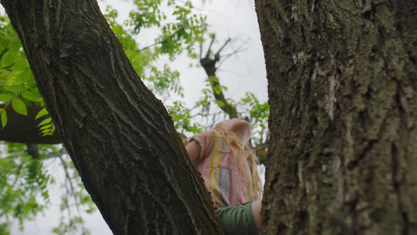 Little girl climbs a tree