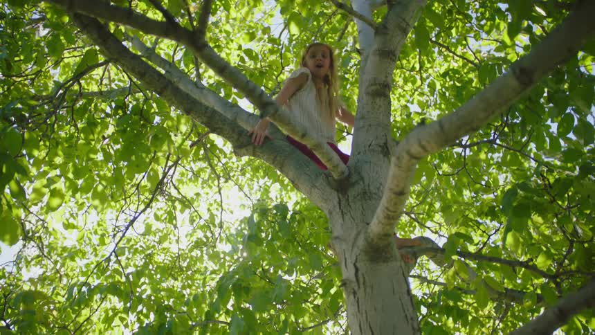 Little blonde girl climbs down the tree