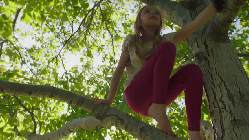 Girl climbs a tree in the backyard