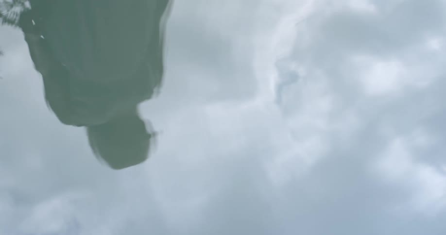 A womans reflection in a pond
