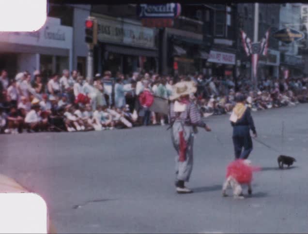 People walk down street with dogs in costumes while spectators watch from sidewalk near storefronts
