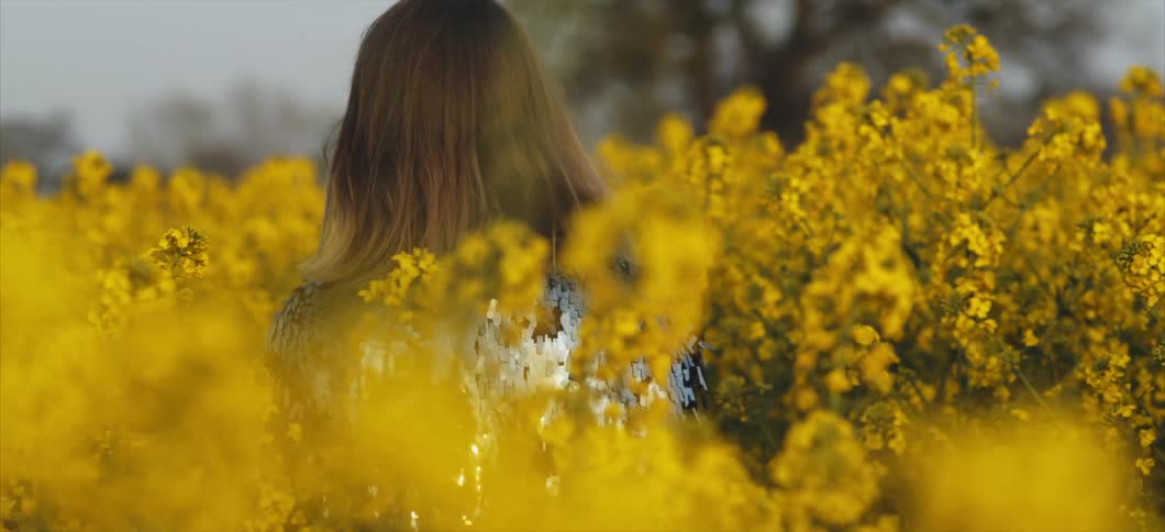 A woman walks through a field of flowers
