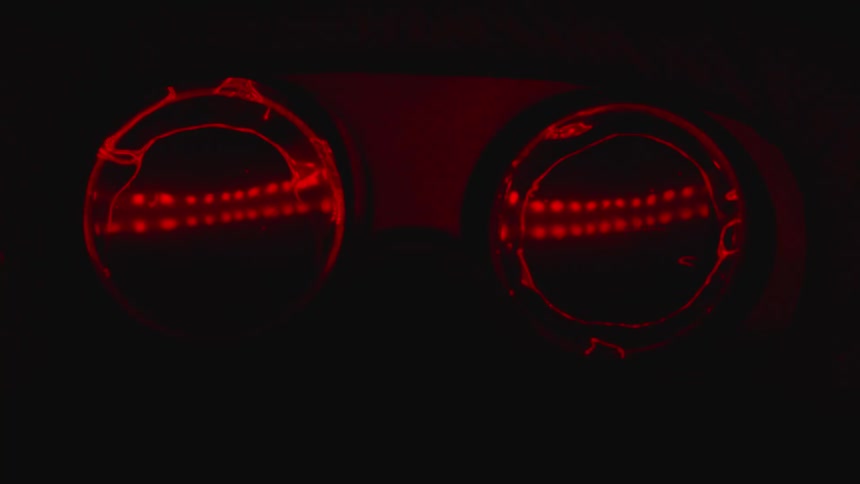 The lights of circle stream across