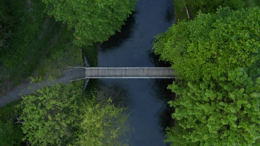 A small bridge crosses a river in a forest