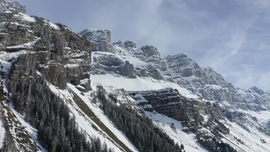 Trees grow out of a snowy mountain side