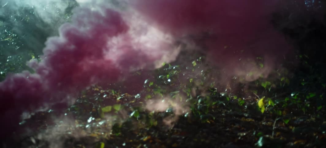 Sunlight shining through the thick canopy of the forest onto purple smoke billowing from the soil of the forest