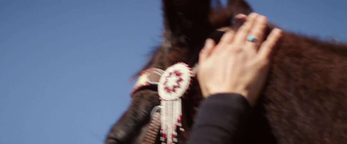Woman pets gently dark horse