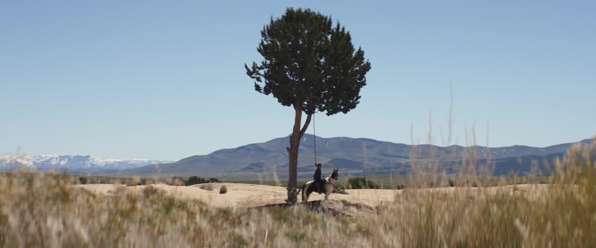 Man sits horse under tree wearing noose with mountains on horizon