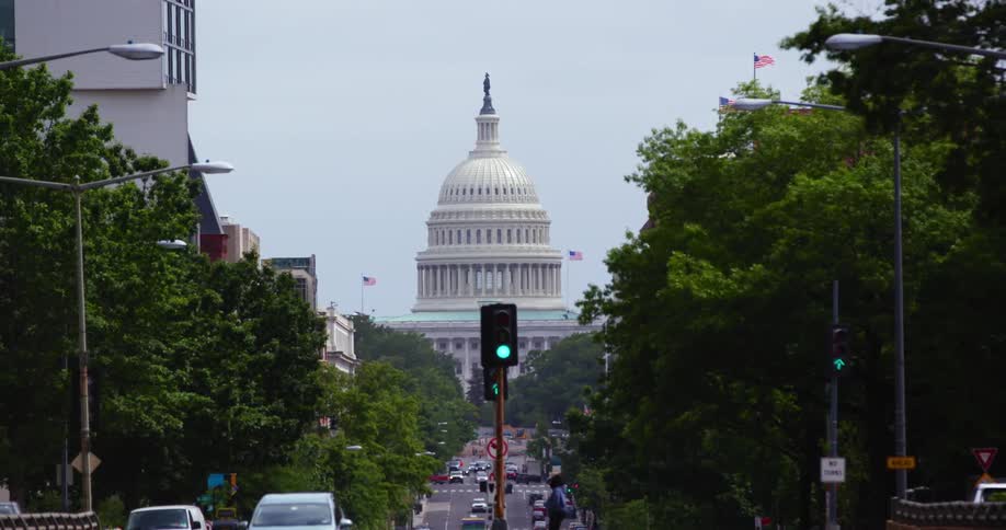 Woman waits near traffic signal as traffic drives along tree lined avenue from capitol building